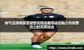 提高价